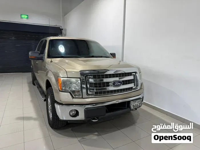 Ford F-150 2014 photo 4