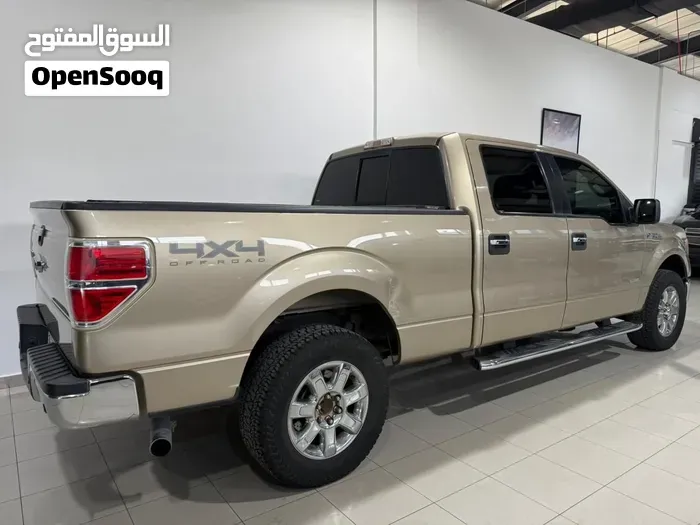 Ford F-150 2014 photo 2