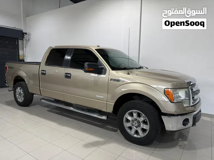 Ford F-150 2014 photo 3