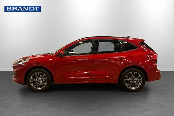 Ford Kuga 2020 photo 3