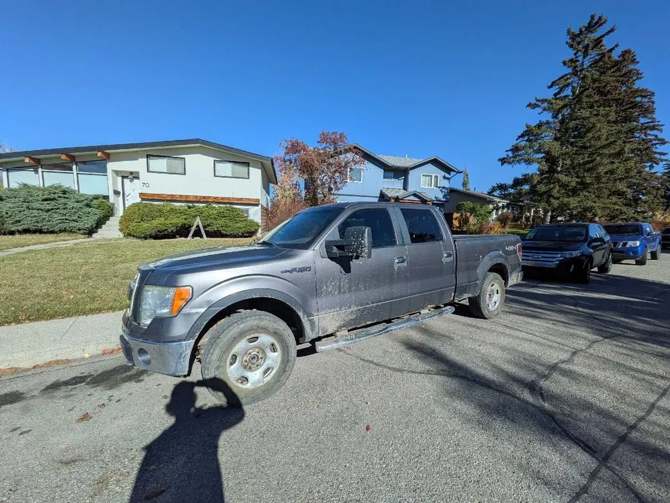 Ford F-150 2009 photo 3