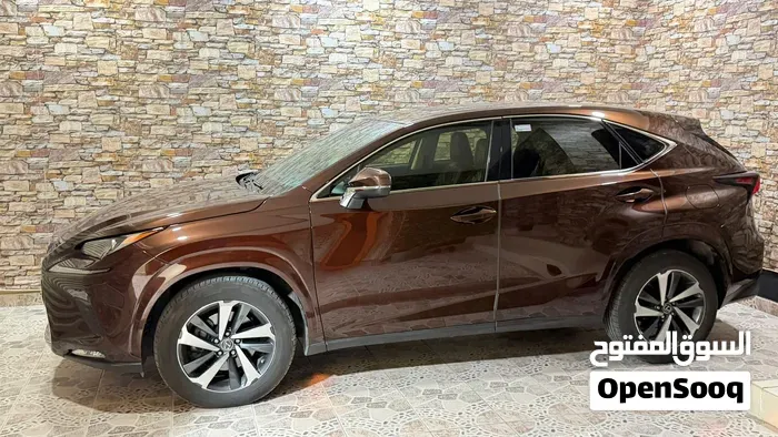 Lexus Nx300 2019 photo 3