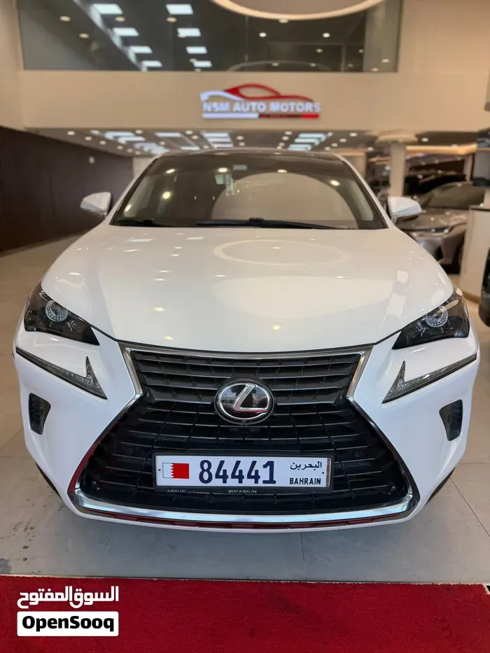 Lexus Nx300 2019 photo 5