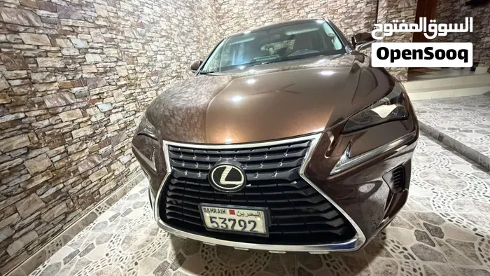Lexus Nx300 2019 photo 2