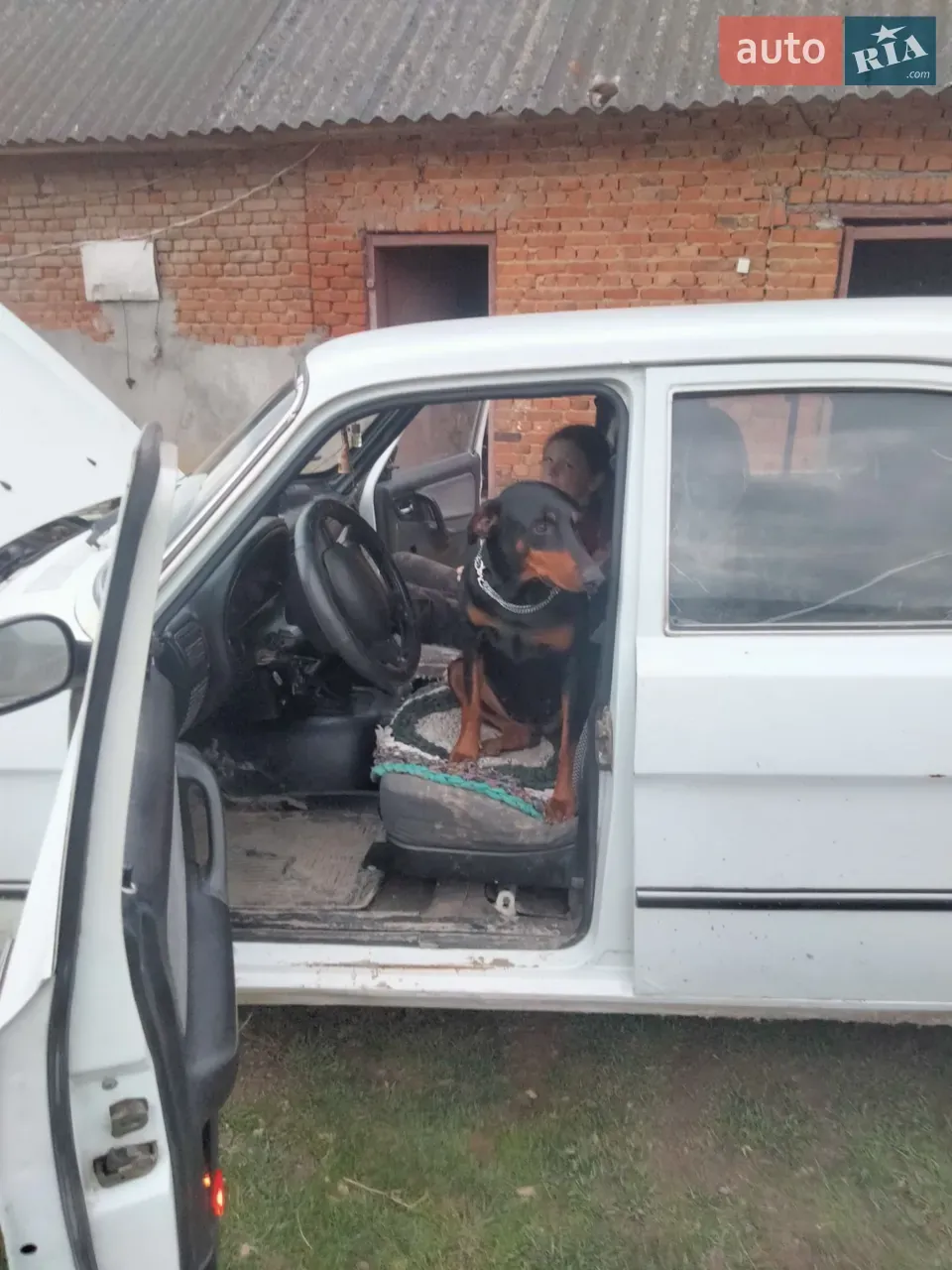 Gaz Volga