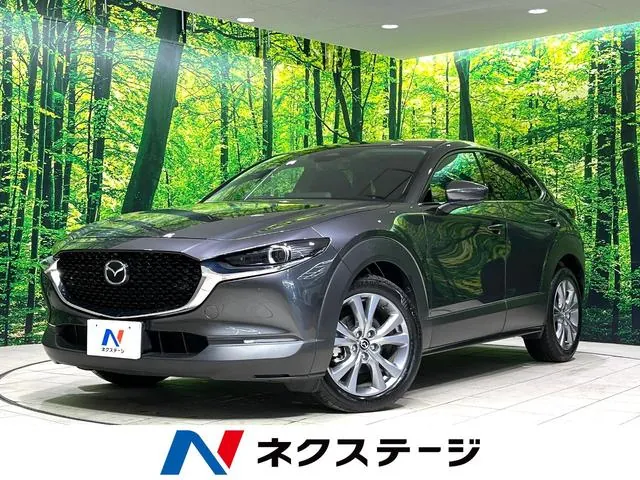 Mitsubishi Cx-30