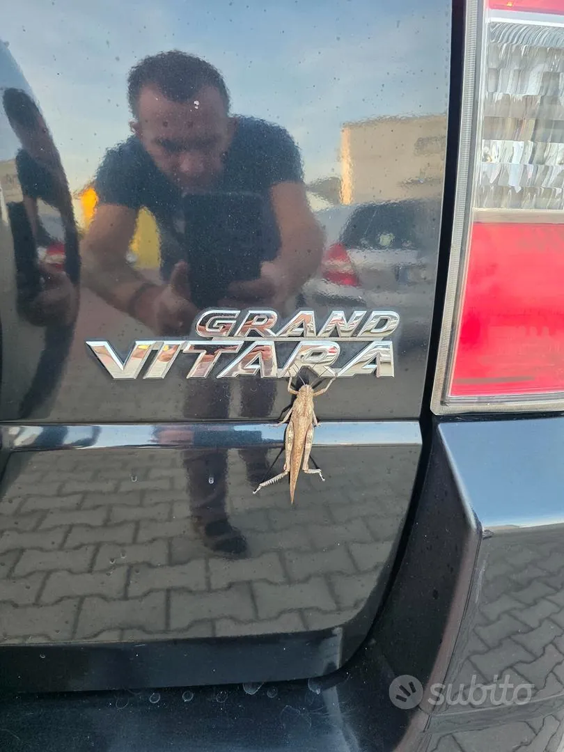 Suzuki Grand Vitara 2006 photo 5