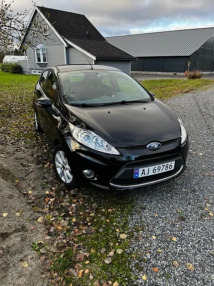 Ford Fiesta 2009 photo 2