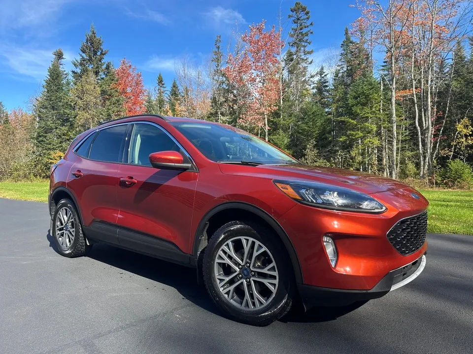 Ford Escape 2020 photo 3