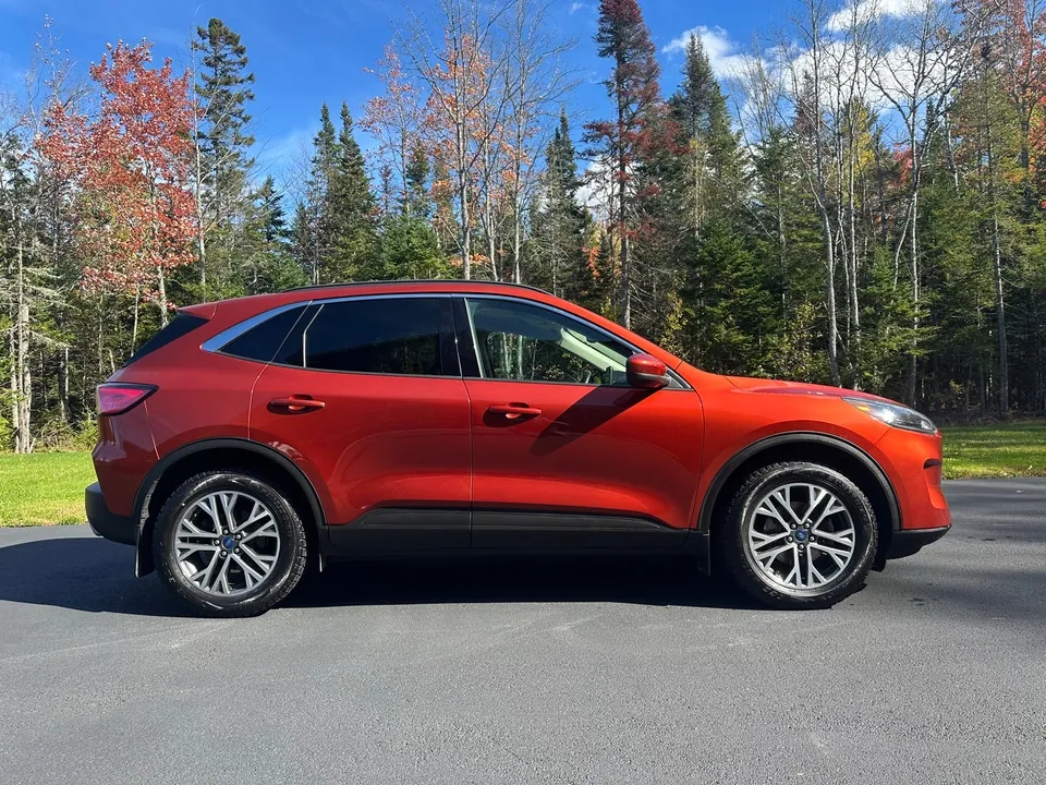 Ford Escape 2020 photo 4