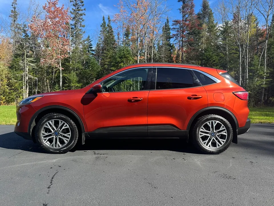 Ford Escape 2020 photo 2