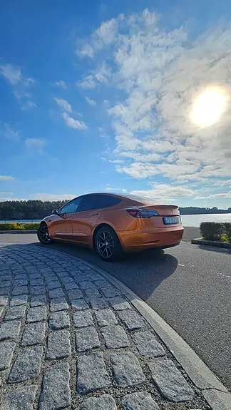 Tesla Model 3 2020 photo 3