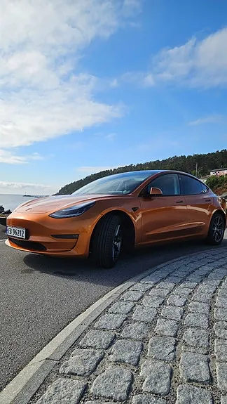 Tesla Model 3 2020 photo 4