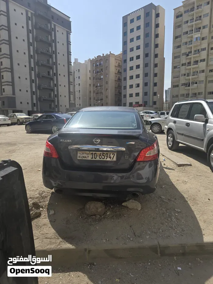 Nissan Maxima 2010 photo 4