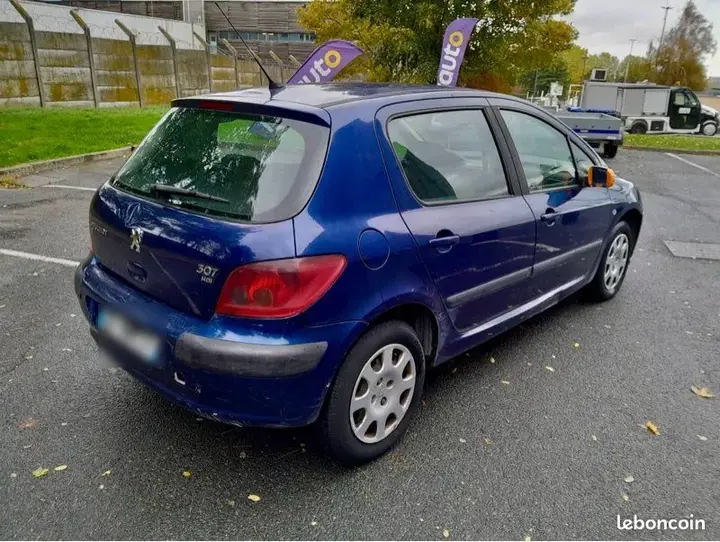 Peugeot 307 2005 photo 2