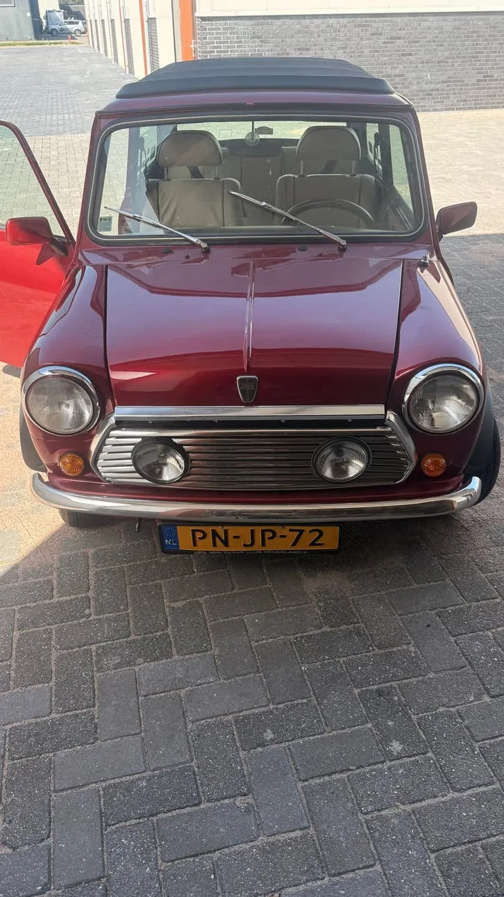 Rover Mini