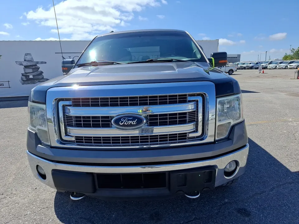 Ford F-150 2014 photo 2