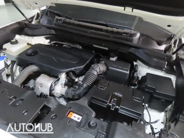 Kg Motor Torex 2023 photo 5