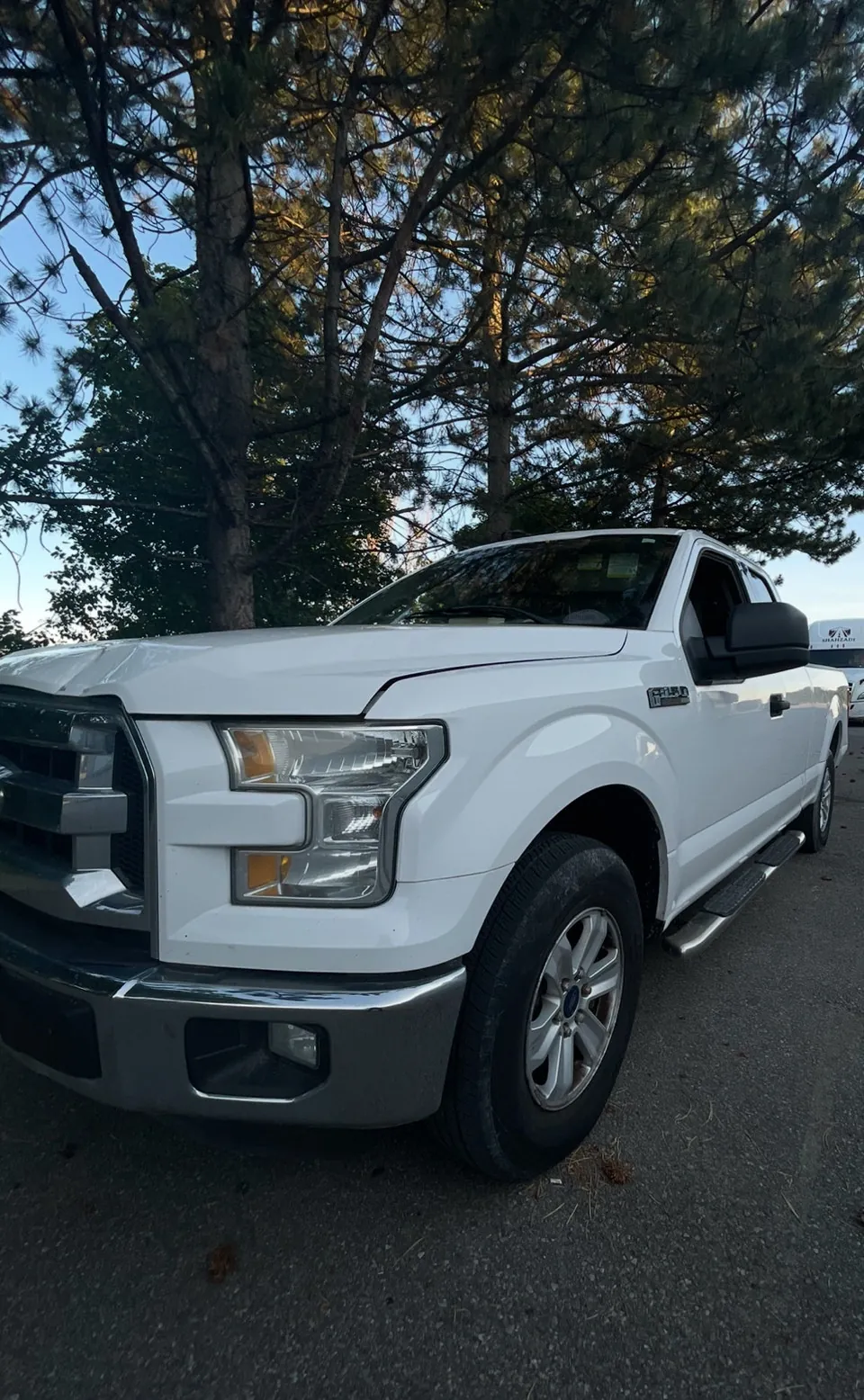 Ford F-150 2016 photo 3
