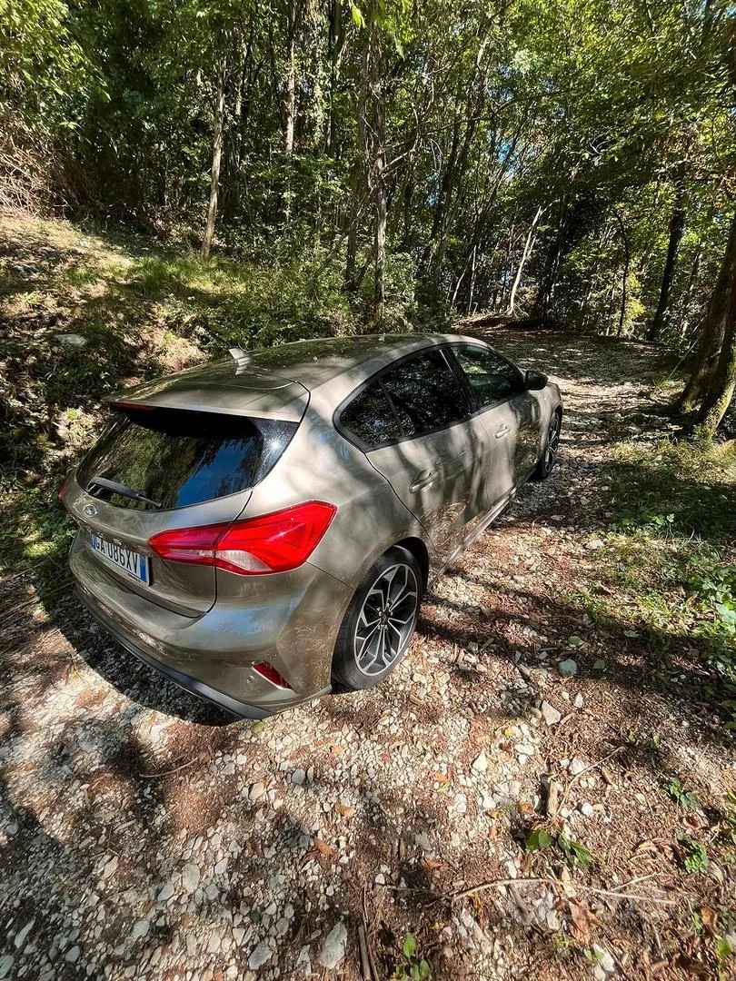 Ford Focus 2020 photo 5