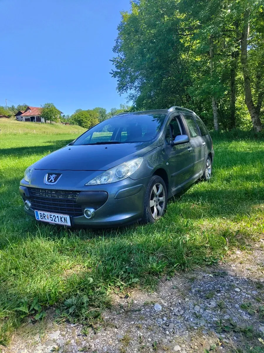 Peugeot 307 2006 photo 3