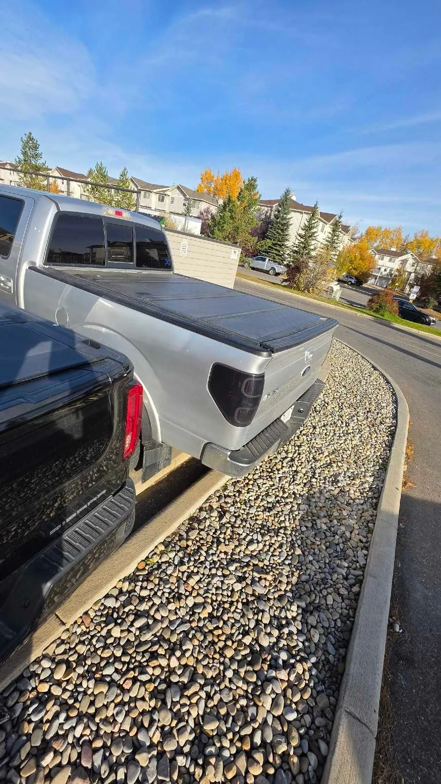 Ford F-150 2011 photo 4