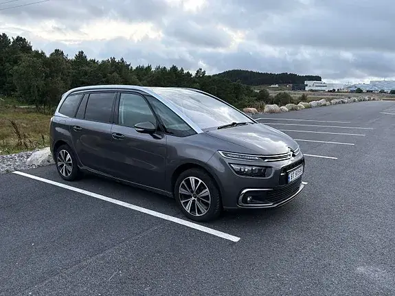 Citroen Grand C4 Picasso 2019 photo 3