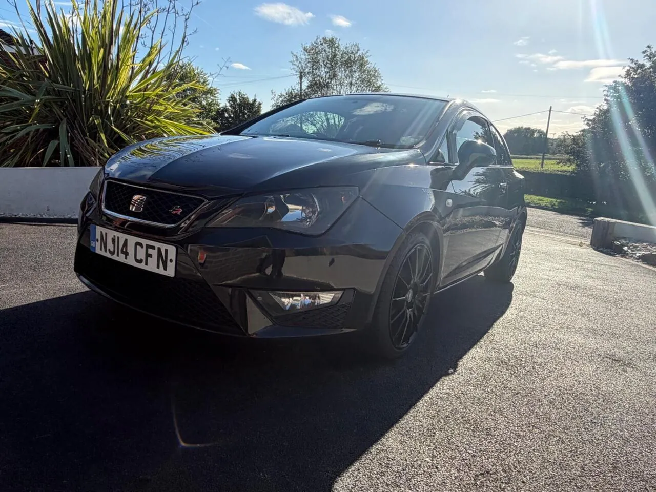 Seat Ibiza 2014 photo 5
