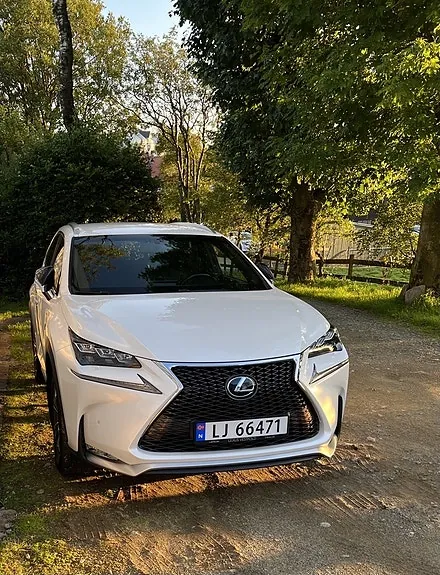 Lexus Nx300H 2017 photo 4