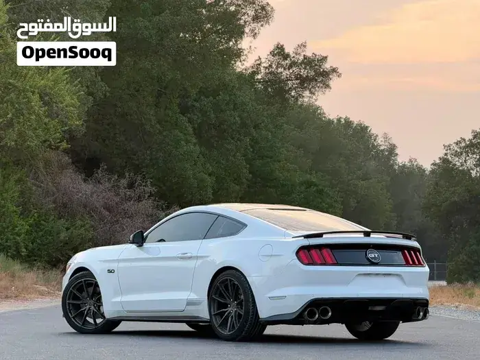 Ford Mustang Gt 2016 photo 2