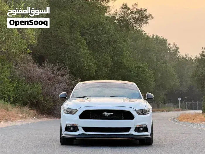 Ford Mustang Gt 2016 photo 3