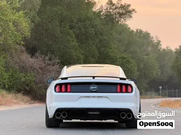 Ford Mustang Gt 2016 photo 4