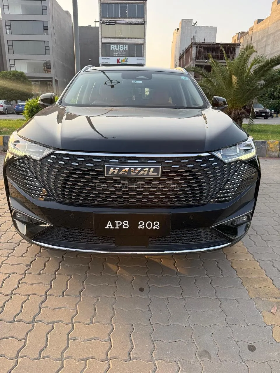 Haval H6