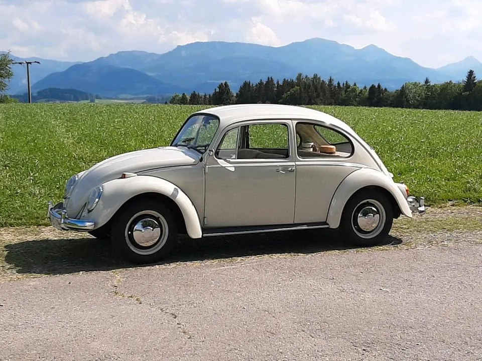 Volkswagen Käfer