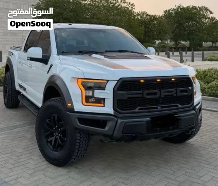 Ford F-150 Lightning 2018 photo 2