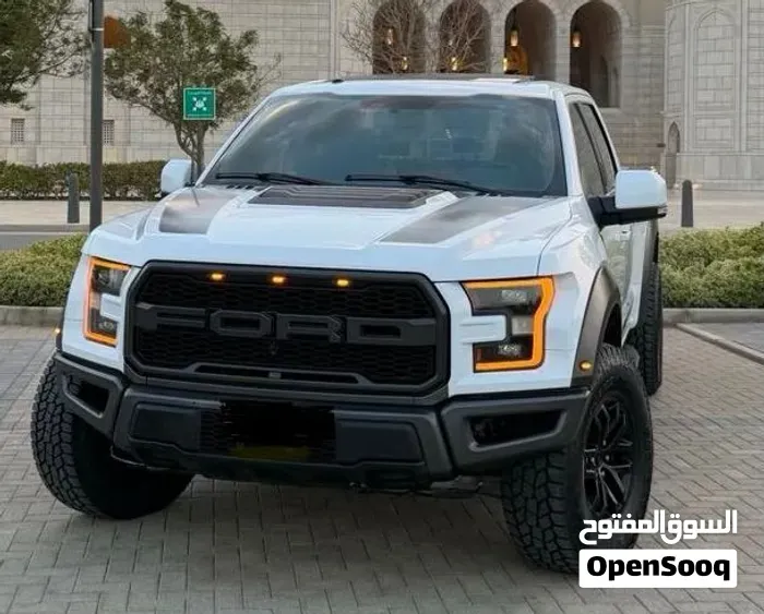 Ford F-150 Lightning 2018 photo 3