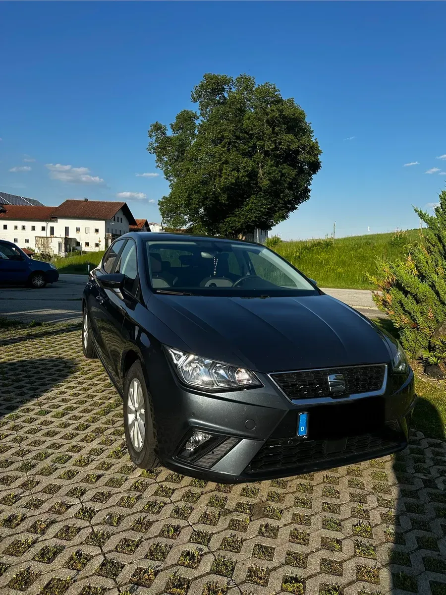 Seat Ibiza 2019 photo 2