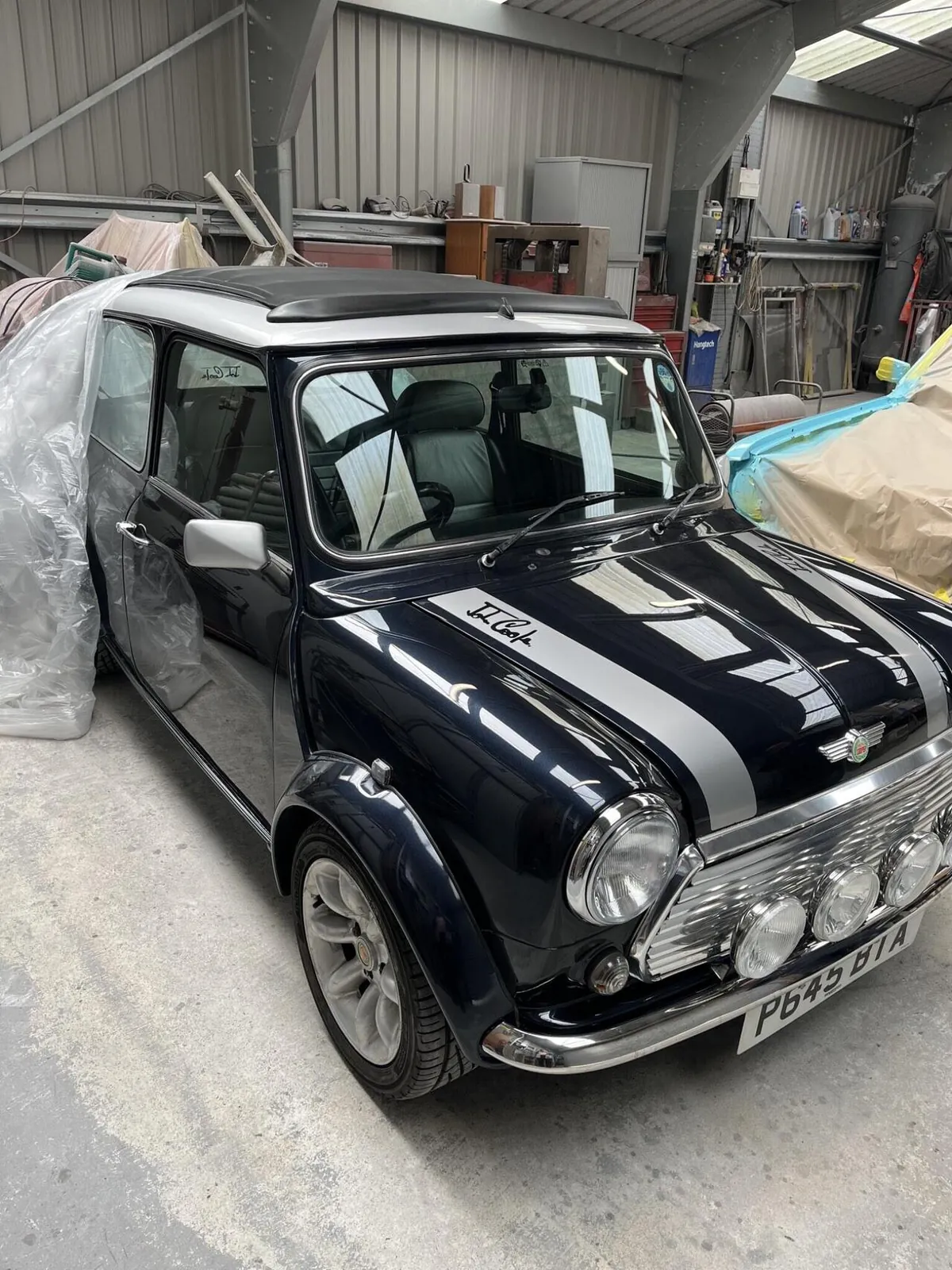 Rover Mini