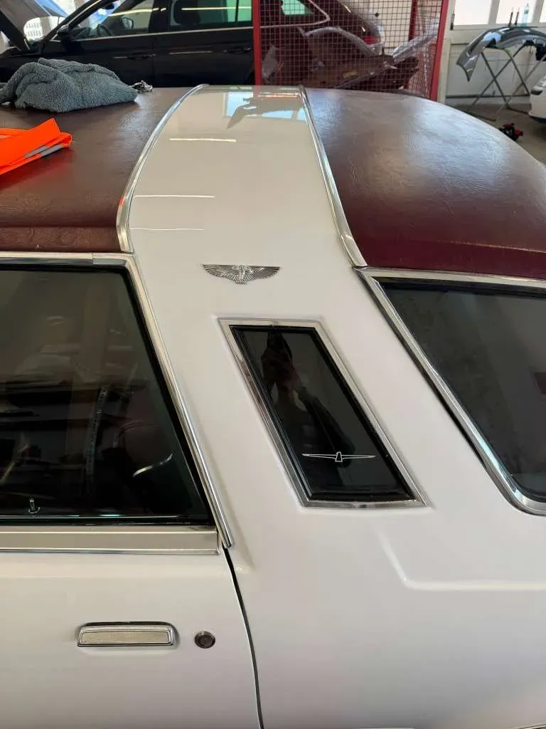 Ford Thunderbird 1979 photo 3