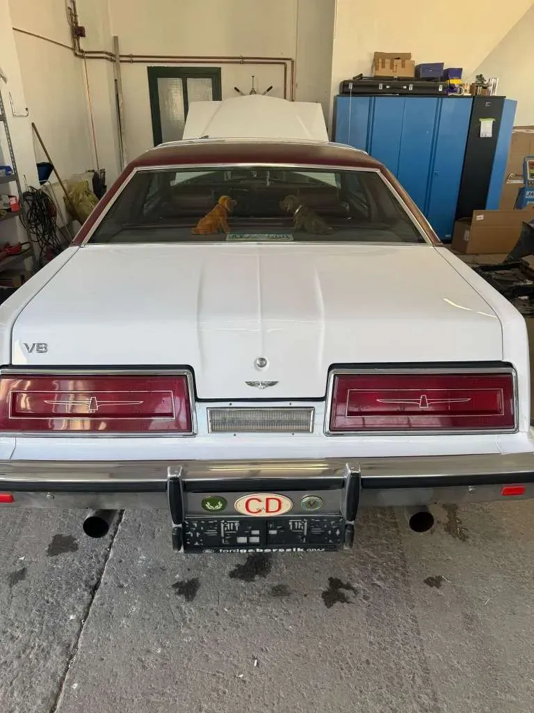 Ford Thunderbird 1979 photo 2