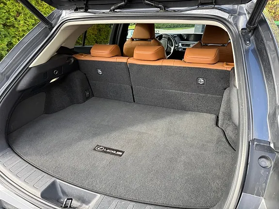 Lexus Ux250H 2019 photo 5