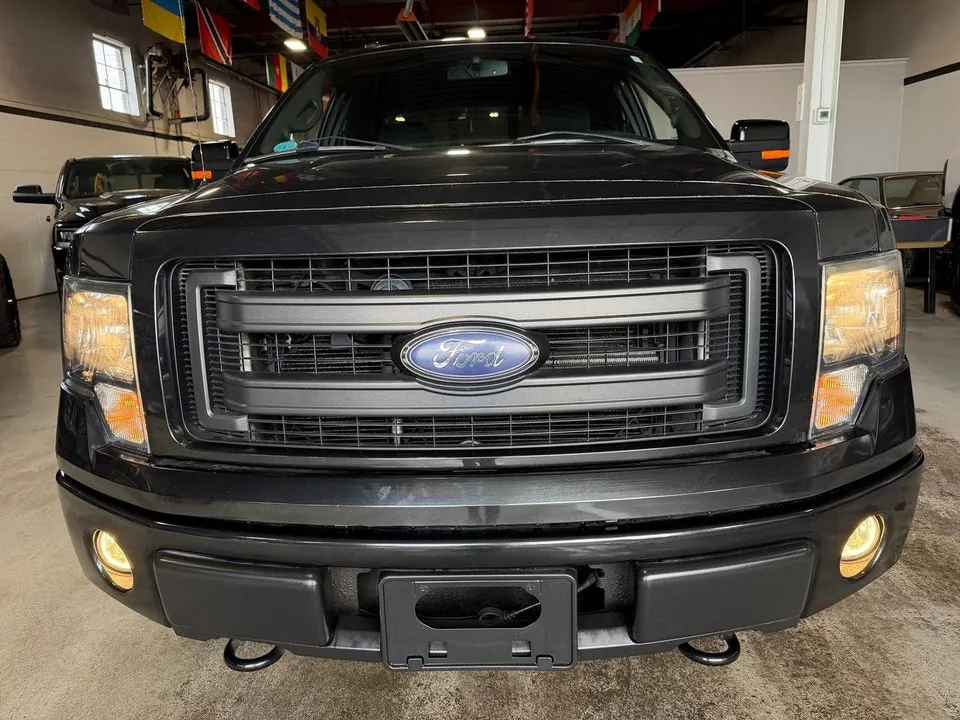 Ford F-150 2014 photo 2