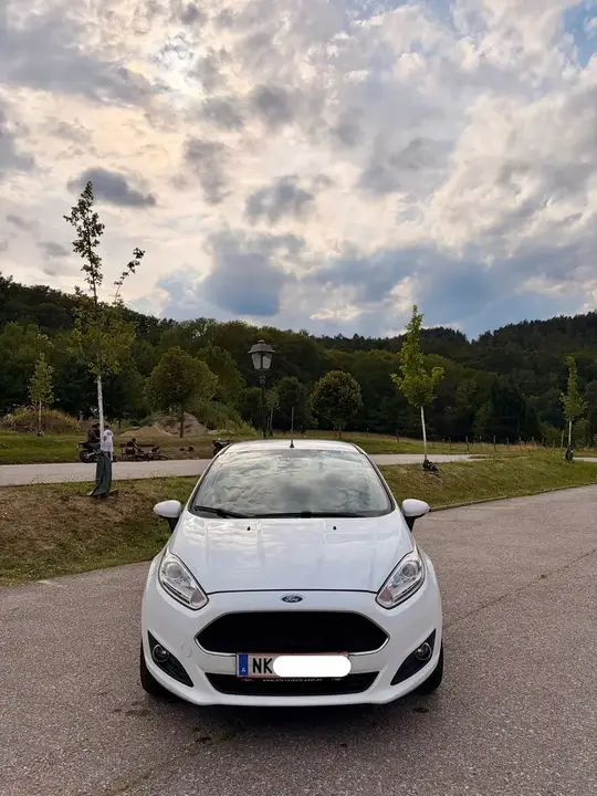 Ford Fiesta 2017 photo 3
