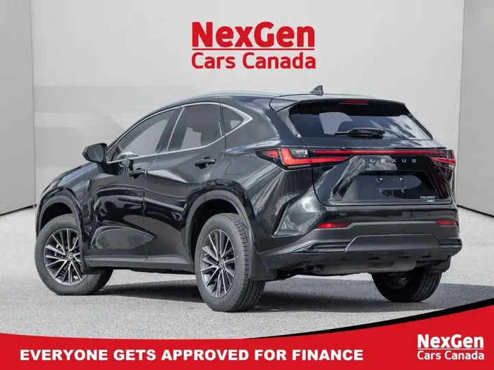 Lexus Nx 2023 photo 5