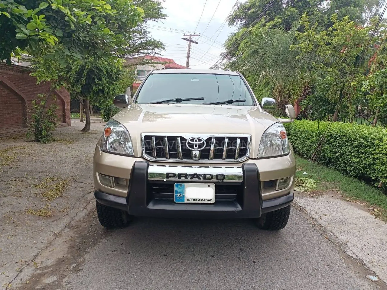 Toyota Prado