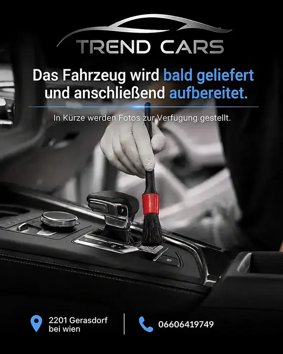 Audi Q5 2010 photo 2