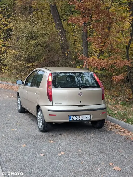 Fiat Punto 2010 photo 4