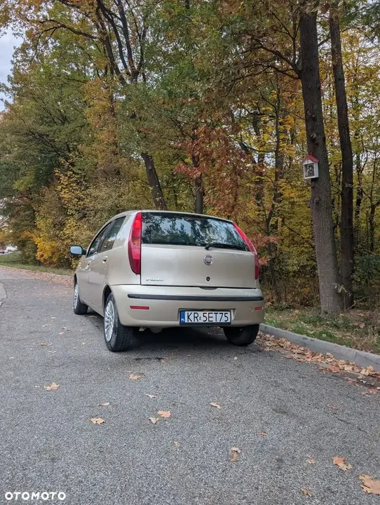 Fiat Punto 2010 photo 5