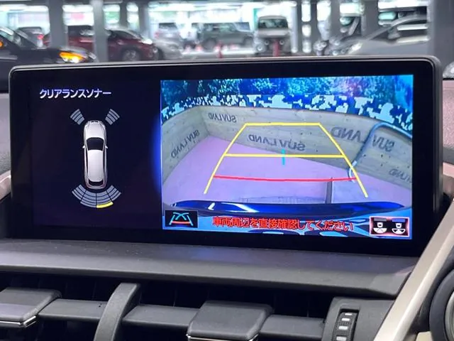 Lexus Nx300H 2019 photo 4