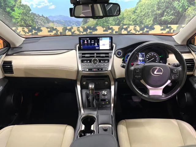 Lexus Nx300H 2019 photo 2